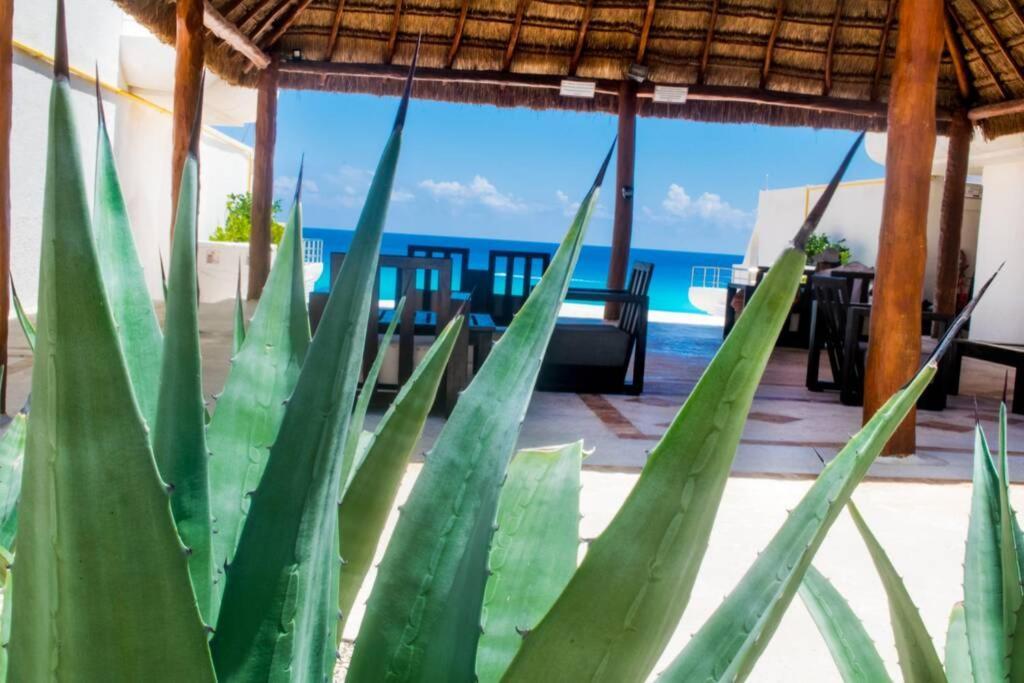Villas Marlin 108, A Pie De Playa, Albercas, Jacuzi, Ubicacion Inmejorable Cancún Eksteriør billede