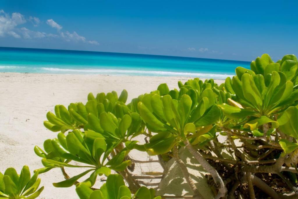 Villas Marlin 108, A Pie De Playa, Albercas, Jacuzi, Ubicacion Inmejorable Cancún Eksteriør billede